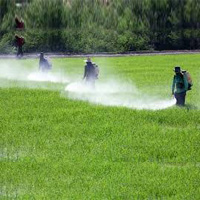 pesticide industry